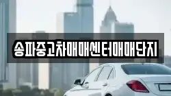 송파중고차매매센터매매단지