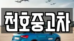천호중고차