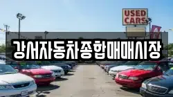 강서자동차종합매매시장