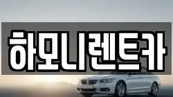 서울 강서구 가양동 렌트카,단기렌트카,장기렌트카,중고차,중고차매매,중고차매입