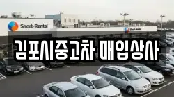 김포시중고차 매입상사
