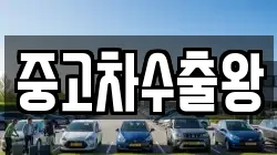 중고차수출왕