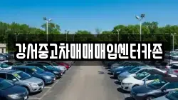 강서중고차매매매입센터카존