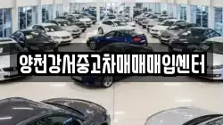 양천강서중고차매매매입센터
