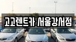 고고렌트카 서울강서점
