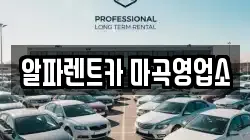 서울 강서구 렌트카,단기렌트카,장기렌트카,중고차,중고차매매,중고차매입