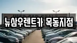 서울 강서구 염창동 렌트카,단기렌트카,장기렌트카,중고차,중고차매매,중고차매입