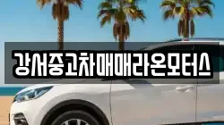 강서중고차매매라온모터스