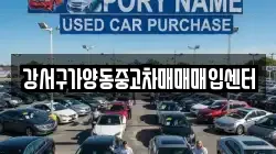 강서구가양동중고차매매매입센터