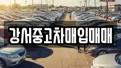 강서중고차매입매매