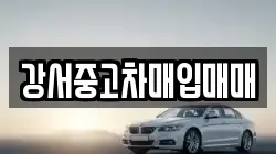 강서중고차매입매매