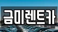 금미렌트카