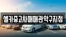 셀카중고차매매관악구지점