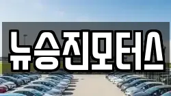 뉴승진모터스