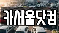카서울닷컴