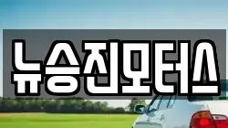 뉴승진모터스
