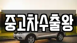 중고차수출왕