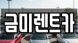 금미렌트카