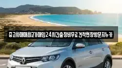 중고차매매최고가매입24시간출장비무료견적현장방문지누카