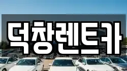 덕창렌트카