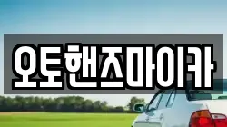 오토핸즈마이카