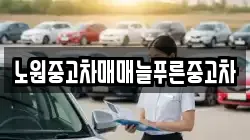 노원중고차매매늘푸른중고차