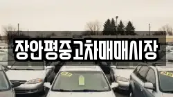 장안평중고차매매시장