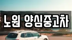 노원 양심중고차
