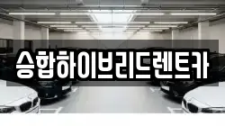 승합하이브리드렌트카