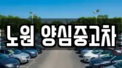 노원 양심중고차