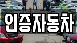 인증자동차