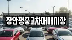 장안평중고차매매시장