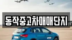 동작중고차매매단지