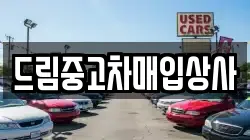 드림중고차매입상사