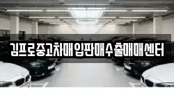 김프로중고차매입판매수출매매센터