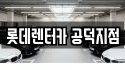 서울 마포구 공덕동 렌트카,단기렌트카,장기렌트카,중고차,중고차매매,중고차매입