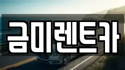 금미렌트카