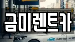 금미렌트카