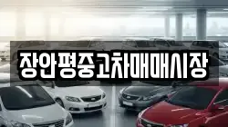 장안평중고차매매시장