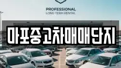 마포중고차매매단지