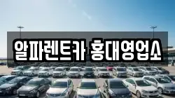 서울 마포구 동교동 렌트카,단기렌트카,장기렌트카,중고차,중고차매매,중고차매입