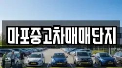 마포중고차매매단지