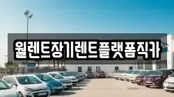 서울 마포구 상수동 렌트카,단기렌트카,장기렌트카,중고차,중고차매매,중고차매입