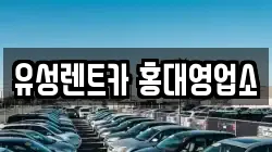 유성렌트카 홍대영업소