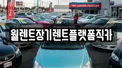 월렌트장기렌트플랫폼직카