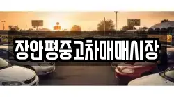 장안평중고차매매시장