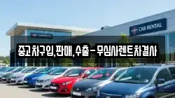 중고차구입,판매,수출-무심사렌트차결사