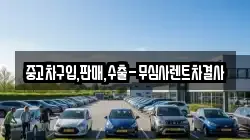 중고차구입,판매,수출-무심사렌트차결사