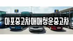 마포중고차매매청운중고차
