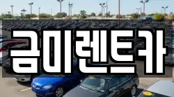 금미렌트카
